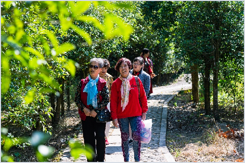 安地十里桂花長廊雅畈杜鵑王國新獅街道花木之窗金華國際山茶物種園花