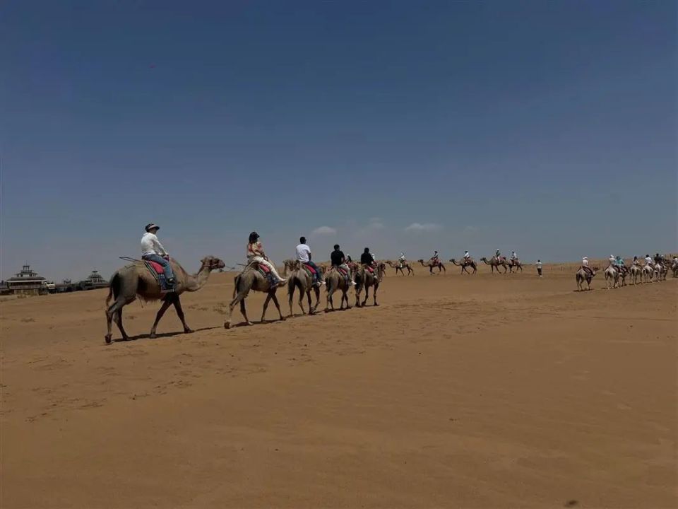 "热"力延续~阿拉善通湖草原开启暑期旅游"新"玩法