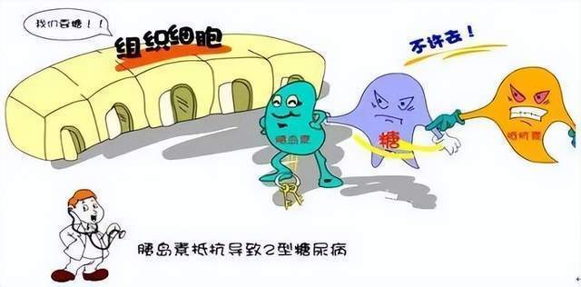 糖尿病与心血管疾病关联之谜？人体工厂暗藏的健康危机