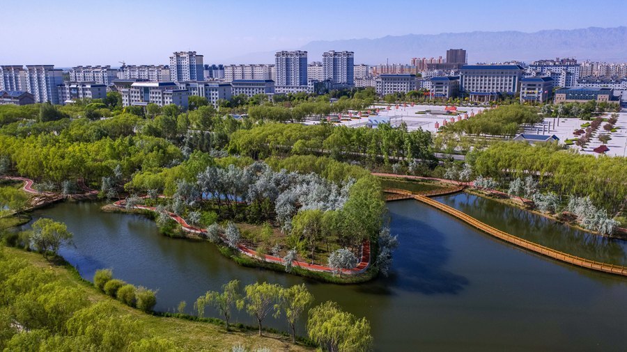 甘肃高台:水城相依 初夏湿地美如画