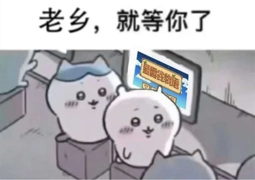 无数个真实中国乡村,竟靠学习星露谷玩法实现了乡村振兴?