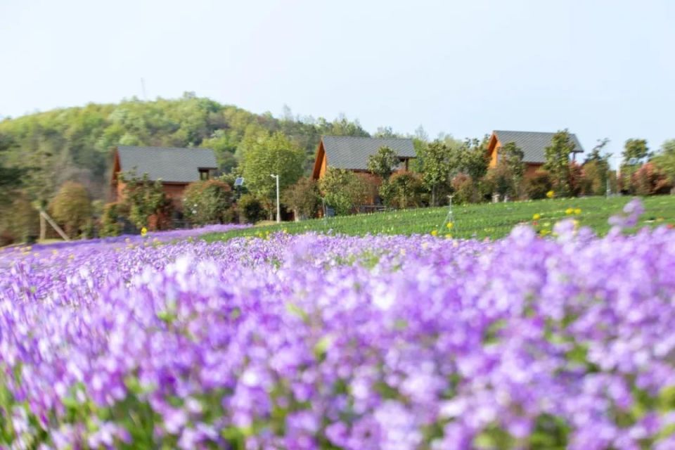 5月19日优惠活动:圣境花谷景点免票05京山市花台山景区等级:aaa级景区