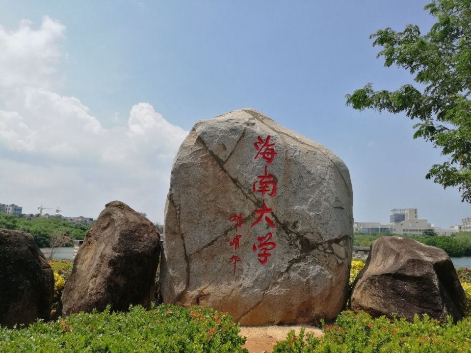 魔羯威猛,吹落海南大学校名,师生共同抗台