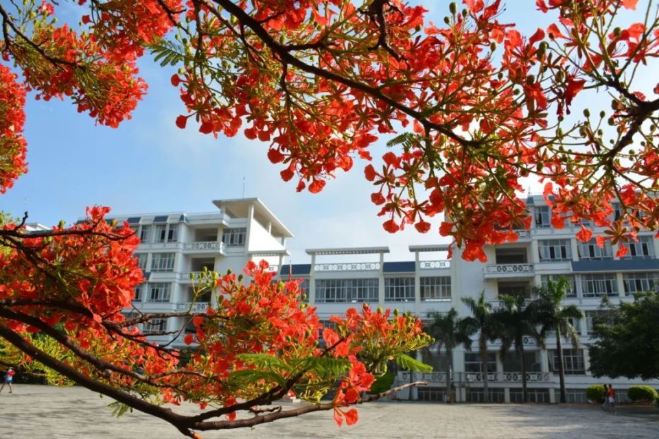 红河县第一中学2024年秋季学期招生啦!