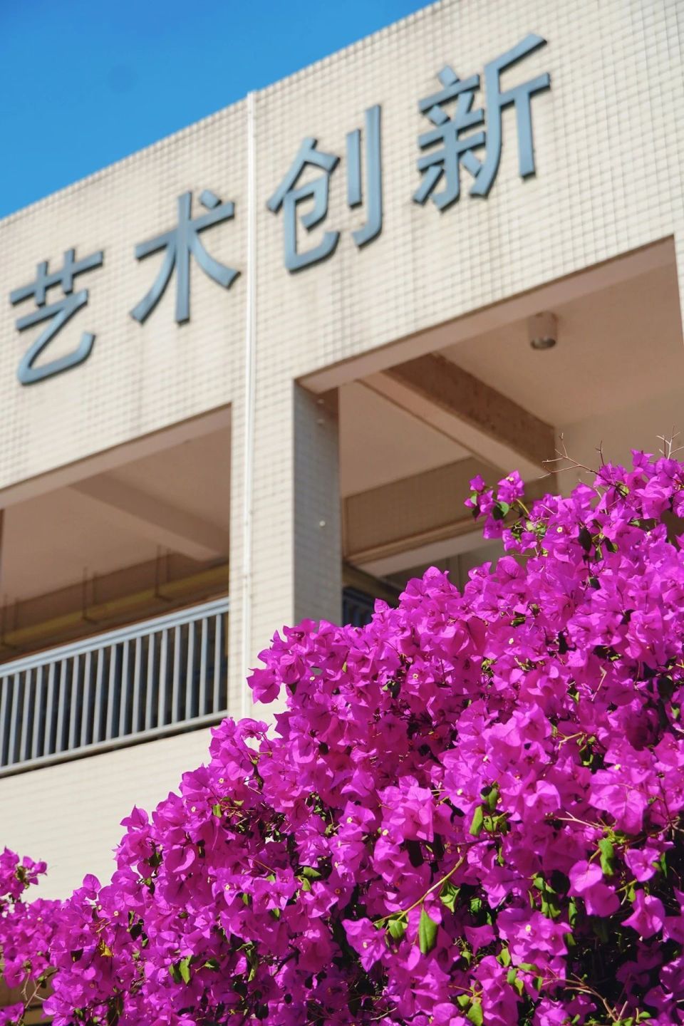 川大夏日的美,有它一份功劳!