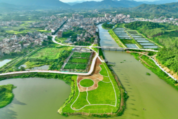 博罗横河:聚力"百千万工程",共绘发展新图景_腾讯新闻