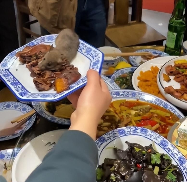 男子生日宴老鼠从天而降掉到菜里,饭店回应:很小的小老鼠,吃了老鼠药