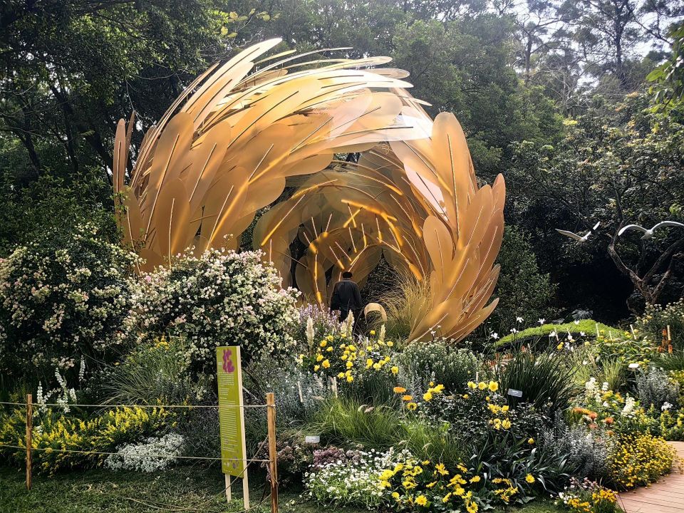 2024粤港澳大湾区花展惊艳"绽放",打卡攻略来了_腾讯新闻