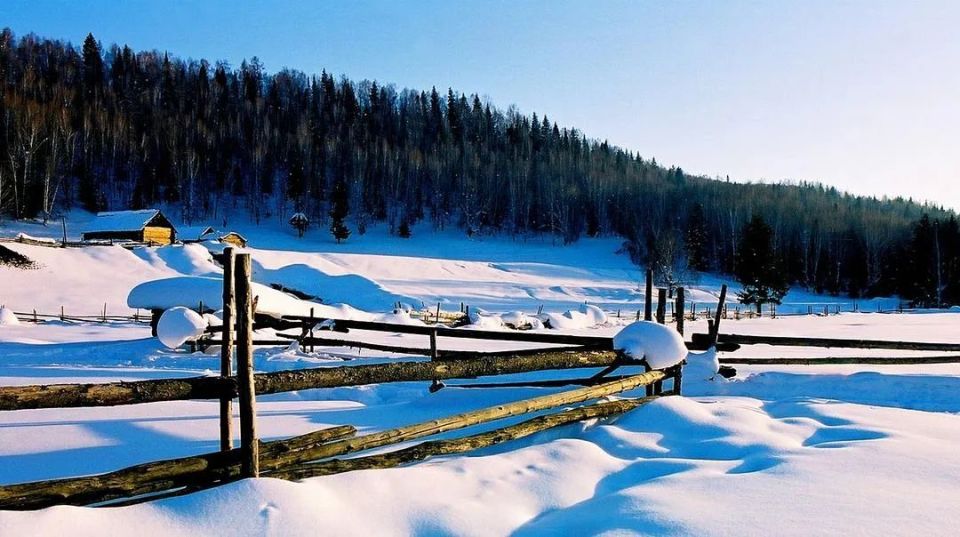 阿尔泰深山牧场,曾有我们的家