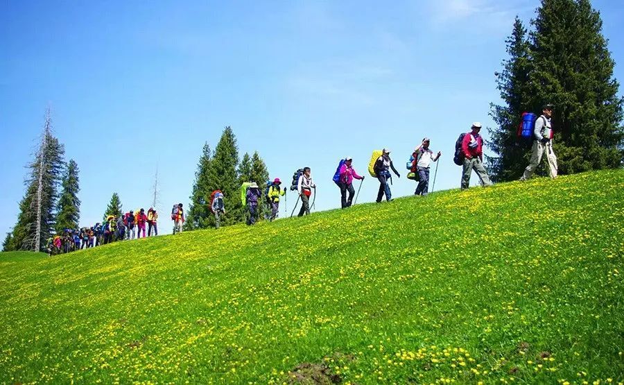 关于举办2024年庆五一工会杯春韵巩留走进野核桃沟徒步比赛的通知