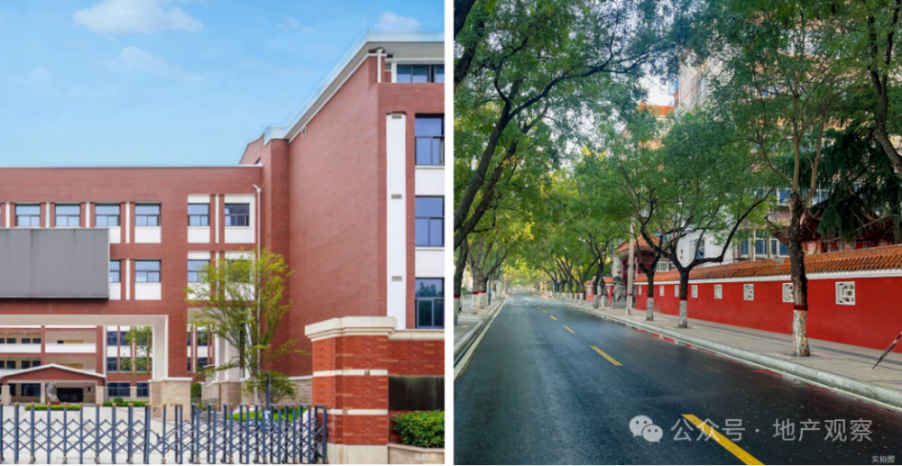 这个变革新品,让人刮目相看