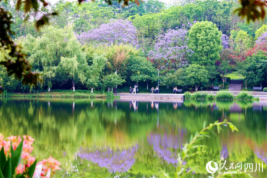 夏天风景图真实图片