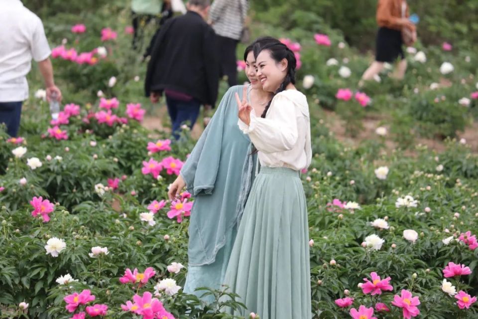 "这是我第一次到中江看芍药,真的太美了!