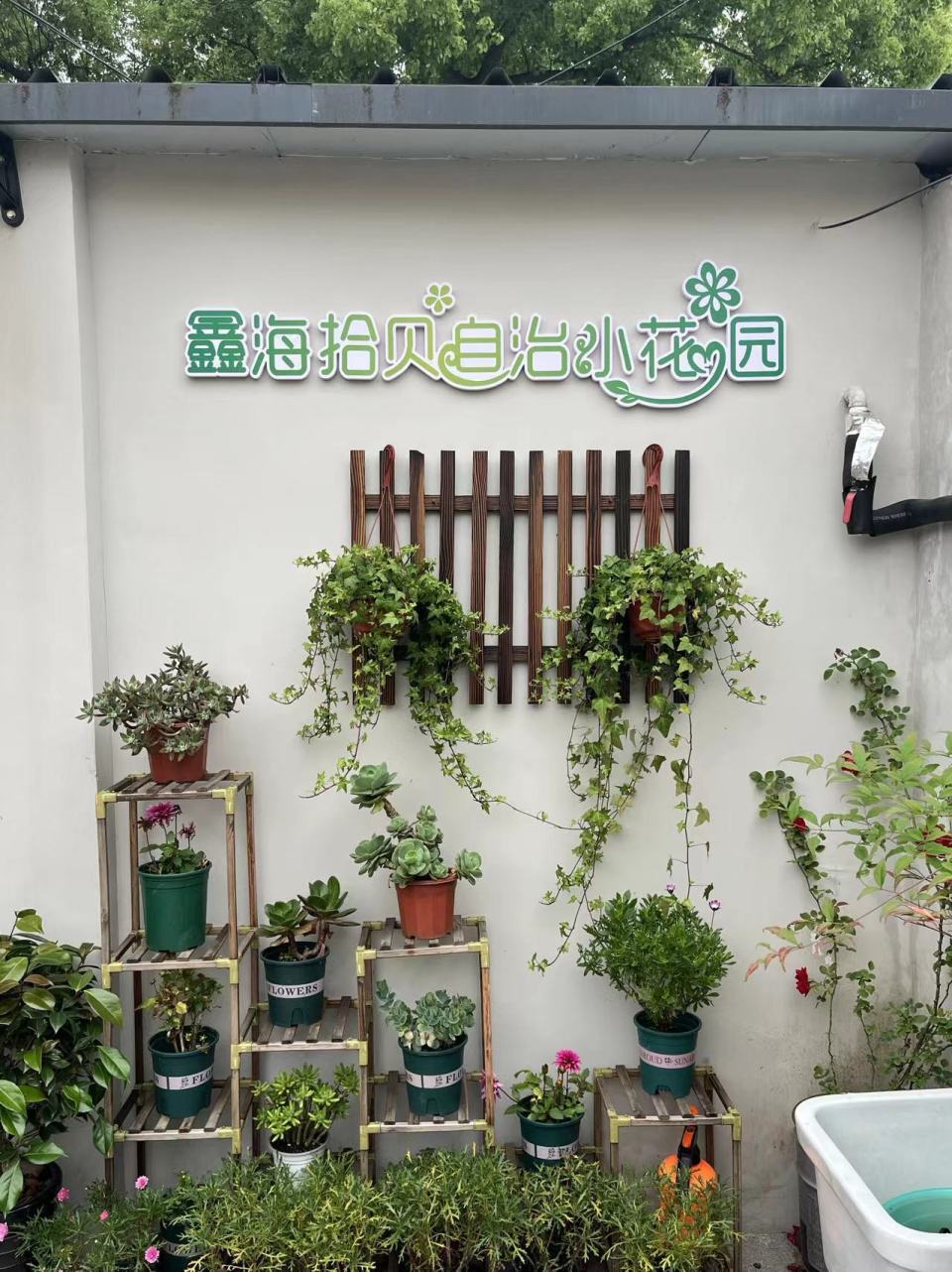 社企助力共建同行，一块“宝地”让这个居民区的社区治理见新意_腾讯新闻
