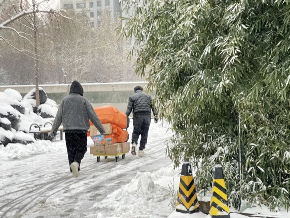降雪能“冻死”病毒？真相来了！_腾讯新闻