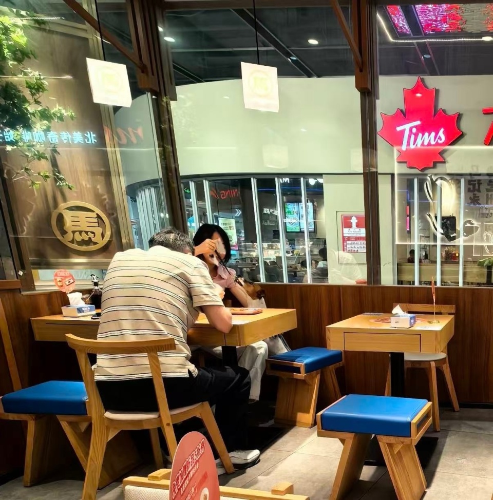 公共餐具塞进狗嘴！南京面馆刺眼一幕曝光，食品卫生管理遭拷问
