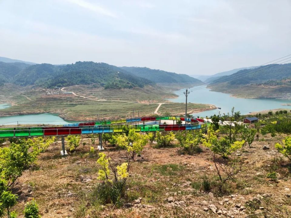 大方县黄泥塘镇:千亩樱桃等你来采摘_腾讯新闻