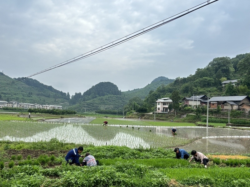 开阳县米坪乡:沟渠清淤保灌溉 助农稳产促增收