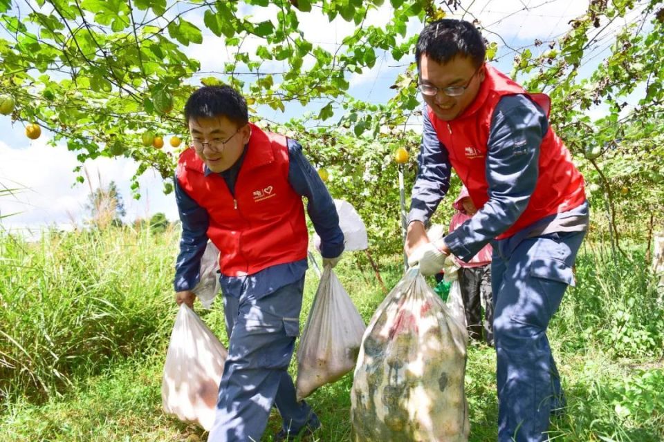 【党在我心中·我在群众中】黄平"志愿红 南网蓝"共绘"丰"景美如画