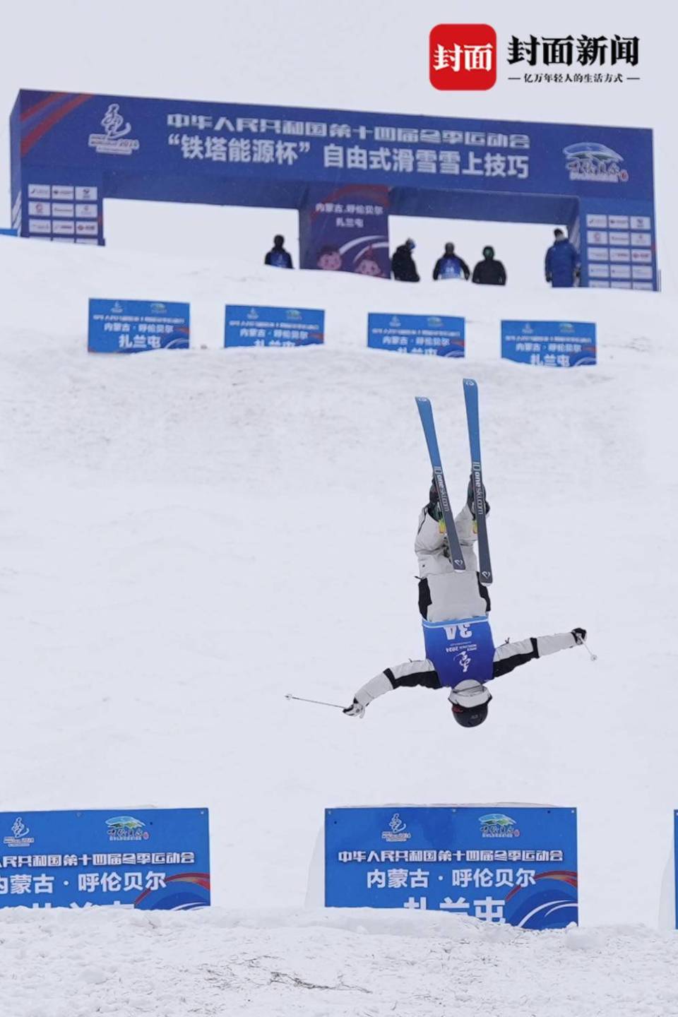 自由式滑雪内容图片