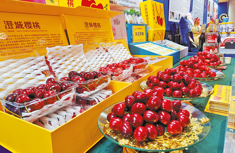 营销推介亮点纷呈广阔前景值得期待澄城樱桃甜蜜蜜唱响全国