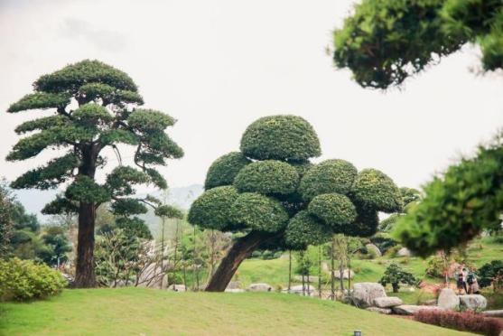 "幸福百千万 共话新花城"2024年网络大v行活动顺利举办