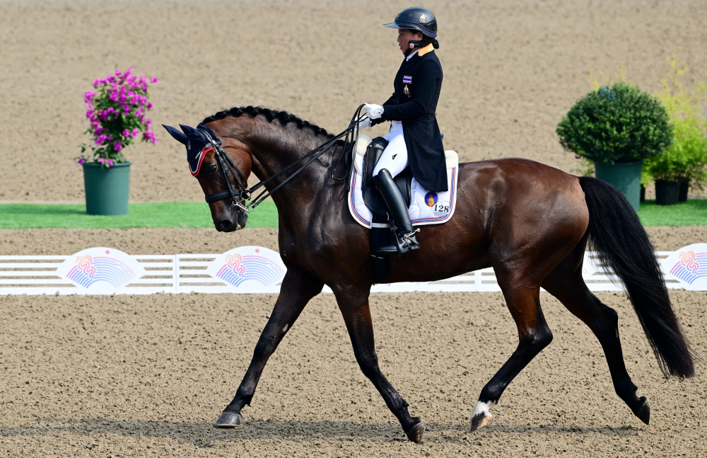 马术盛装舞步个人赛赛况2