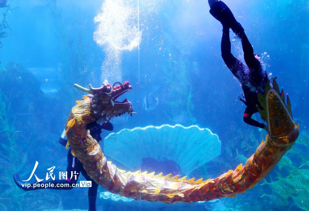山东青岛:海底世界"舞"新春