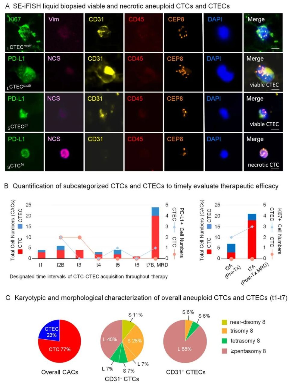 FISH怎么诊断CTCiFISH肿瘤组织与液体活检精准定位区域性癌变手术切缘及有效检测细胞型MRD_https://www.jmylbn.com_新闻资讯_第7张
