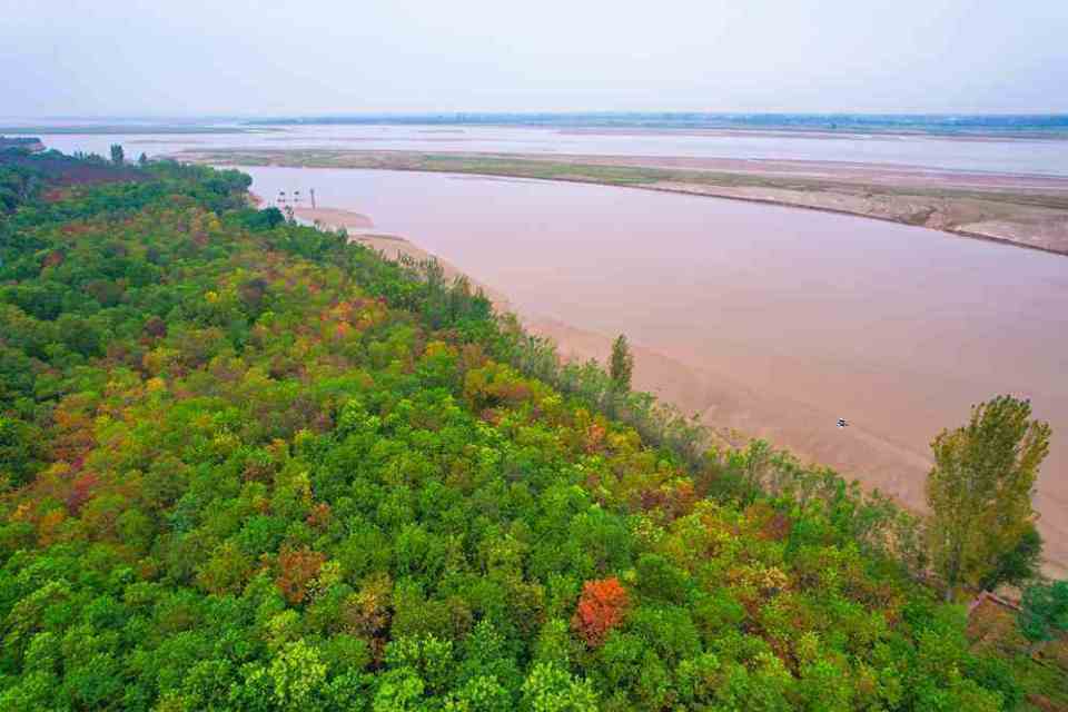郑州黄河岸边的秋,在等你去赏