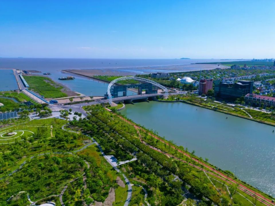 书记调研手札丨海湾旅游区：党建引领聚合力，区校联动促发展，奋力开创“上美海湾”高质量发展新征程_腾讯新闻