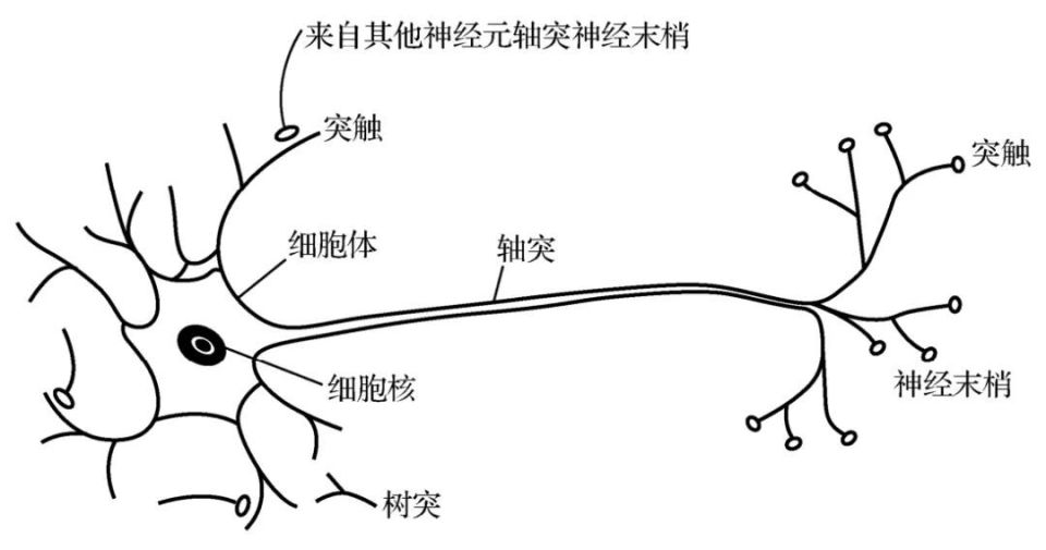 神经元竟在两种物质状态间转换，这是咋回事？