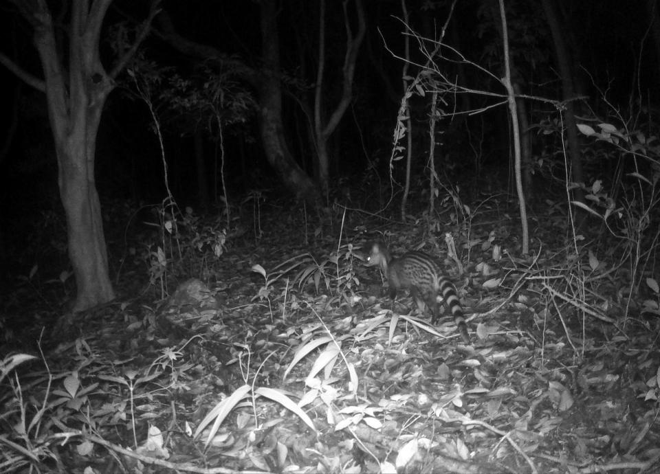 晶报特别报道│它们,就是我们——"5·22国际生物多