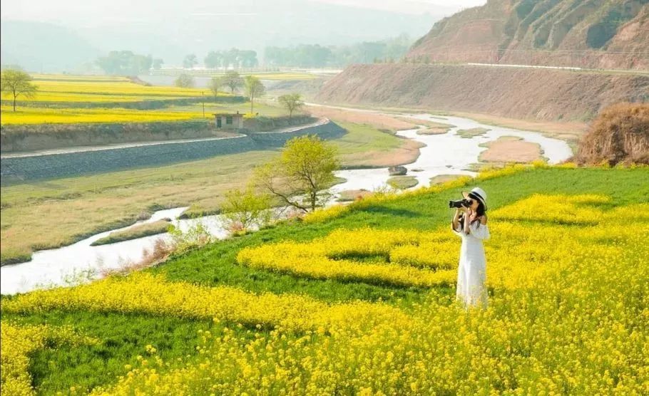 春日浪漫,我想和你度过庆阳的每一个春天_腾讯新闻