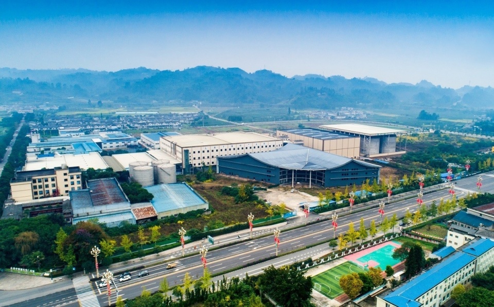 洪雅县成功创建2023年度四川省乡村振兴成效显著县_腾讯新闻