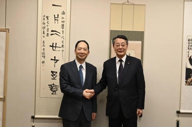 中国驻日本大使馆公使杨宇离任回国