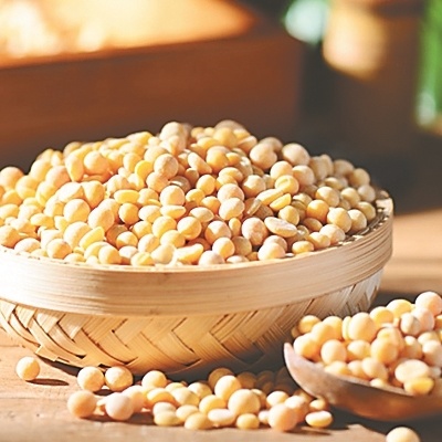 黑农35大豆品种简介图片