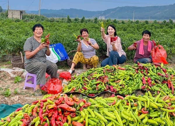 致富三农视频养鱼_致富三农种植_三农致富经