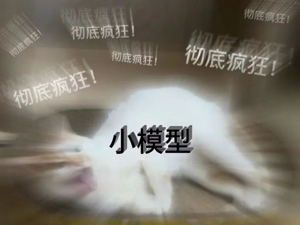 kar模型是什么小模型狂飙！6家巨头争相发布小模型，Andrej Karpathy：大语言模型的尺寸竞争正在倒退...-上海聚慕医疗器械有限公司