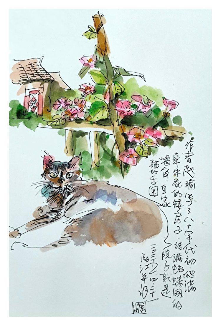 图片