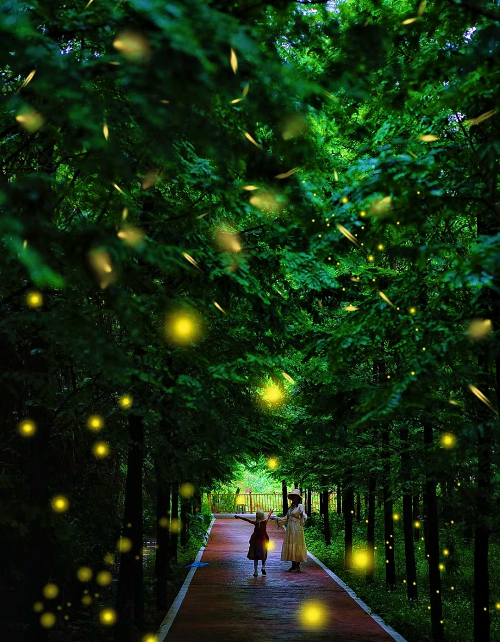 杭州·千岛湖酉坞里萤火虫主题公园 /今天浙游君就为大家盘点一波