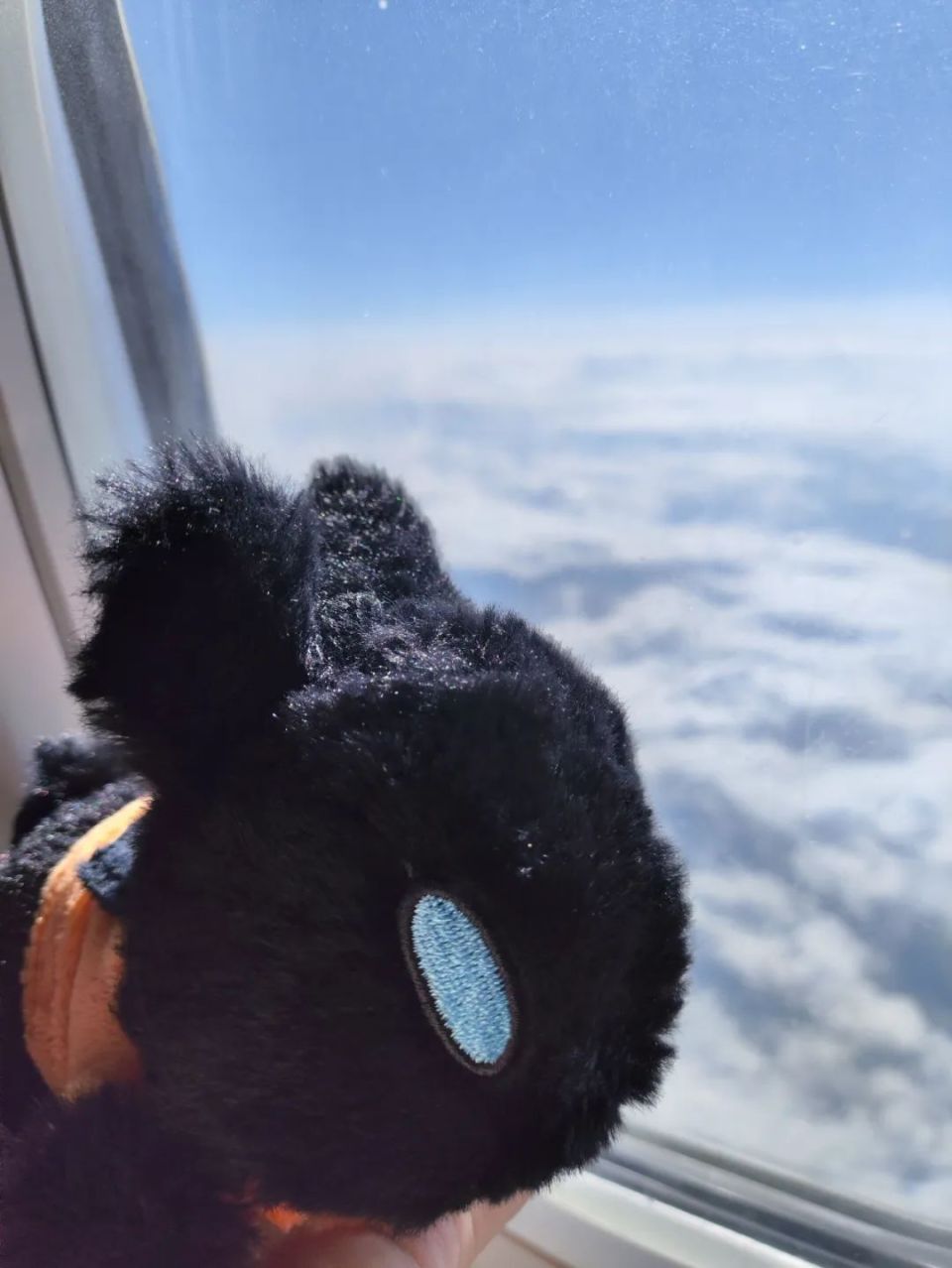 我大概,一辈子都忘不了明日方舟了