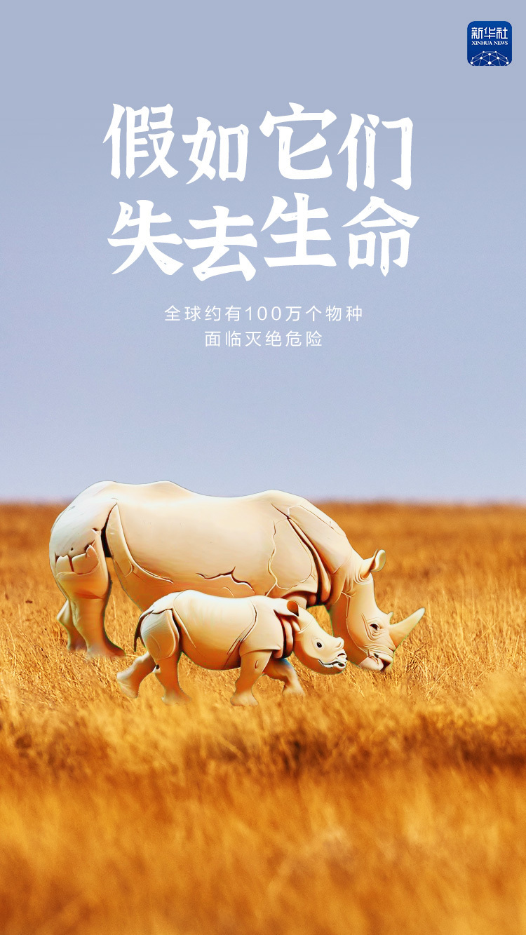 创意海报|假如它们失去生命