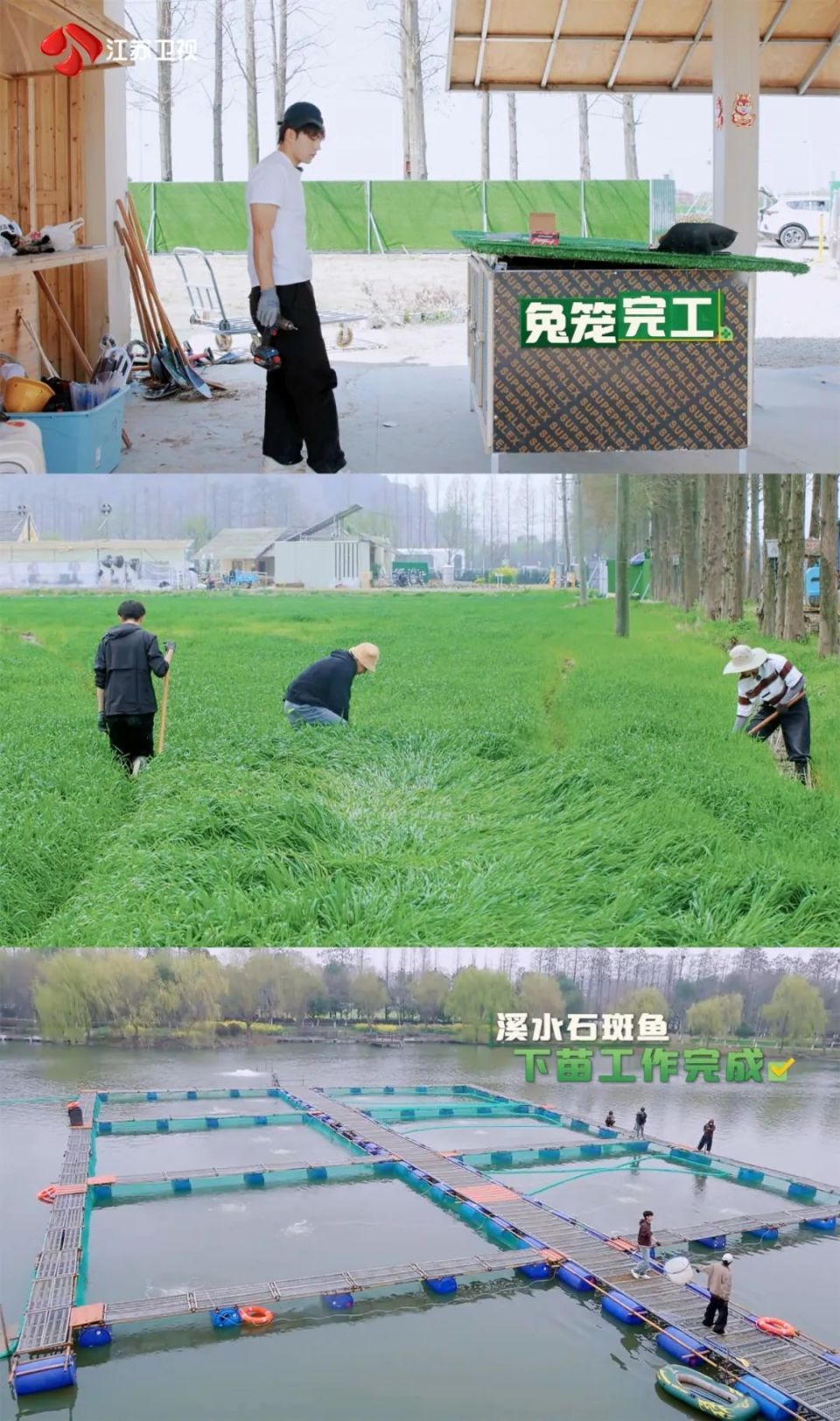 江苏卫视《种地吧2》十个勤天解锁立体农业,农事有喜亦有忧