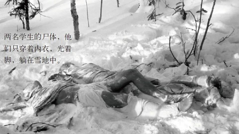 雪原离奇死亡案新解