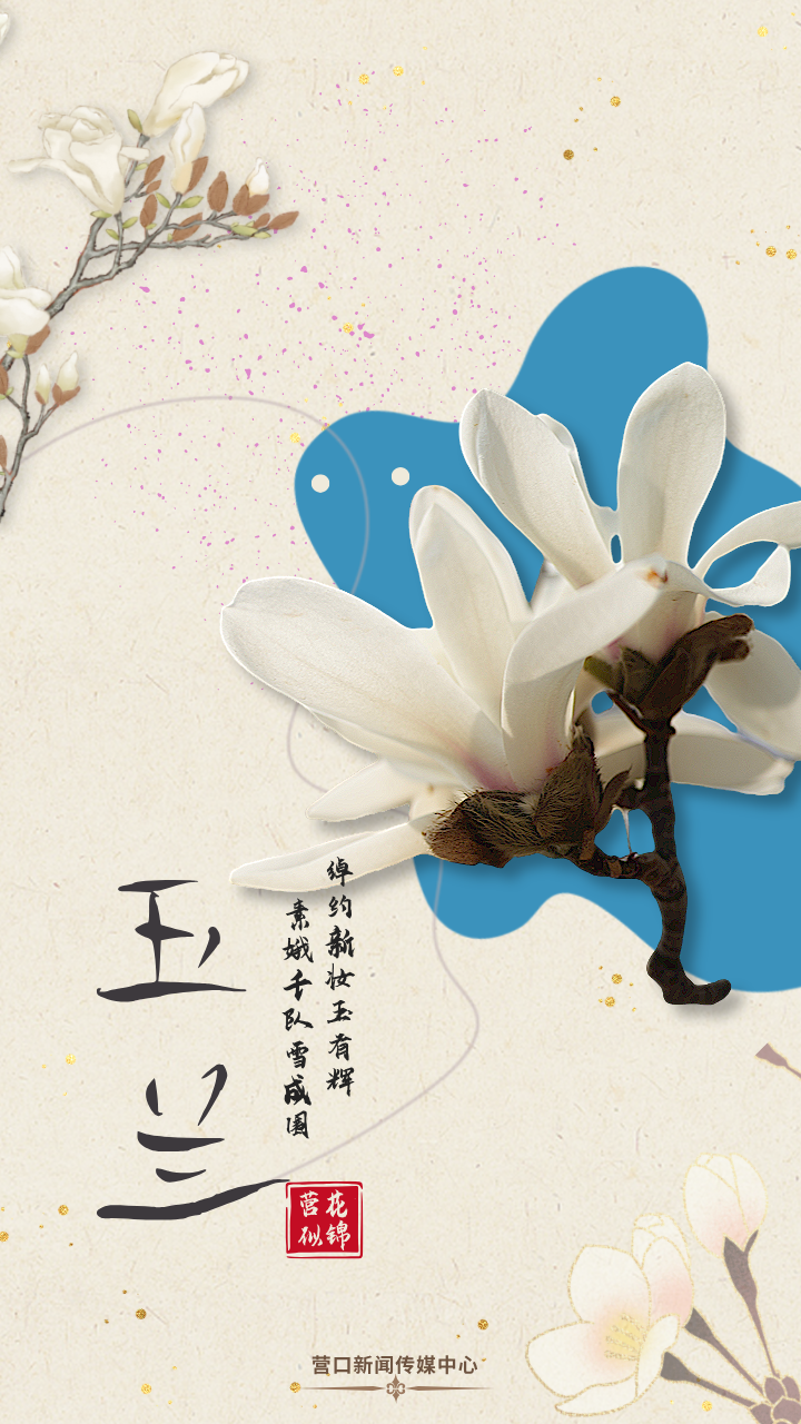 一组国风海报,带你赏营口繁花