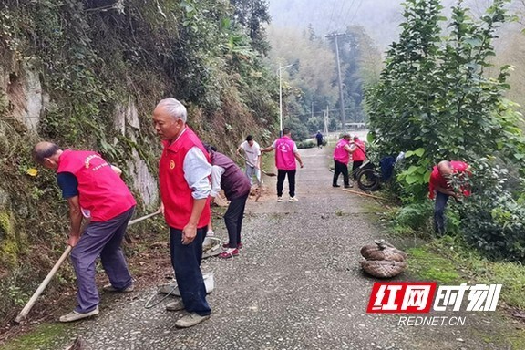 桃江县大栗港镇开展迎中秋庆国庆人居环境卫生清扫活动