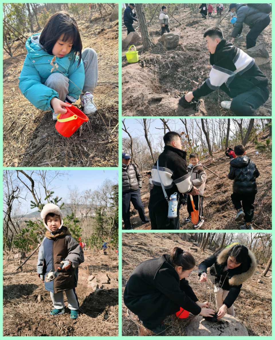 青岛宁夏路小学图片