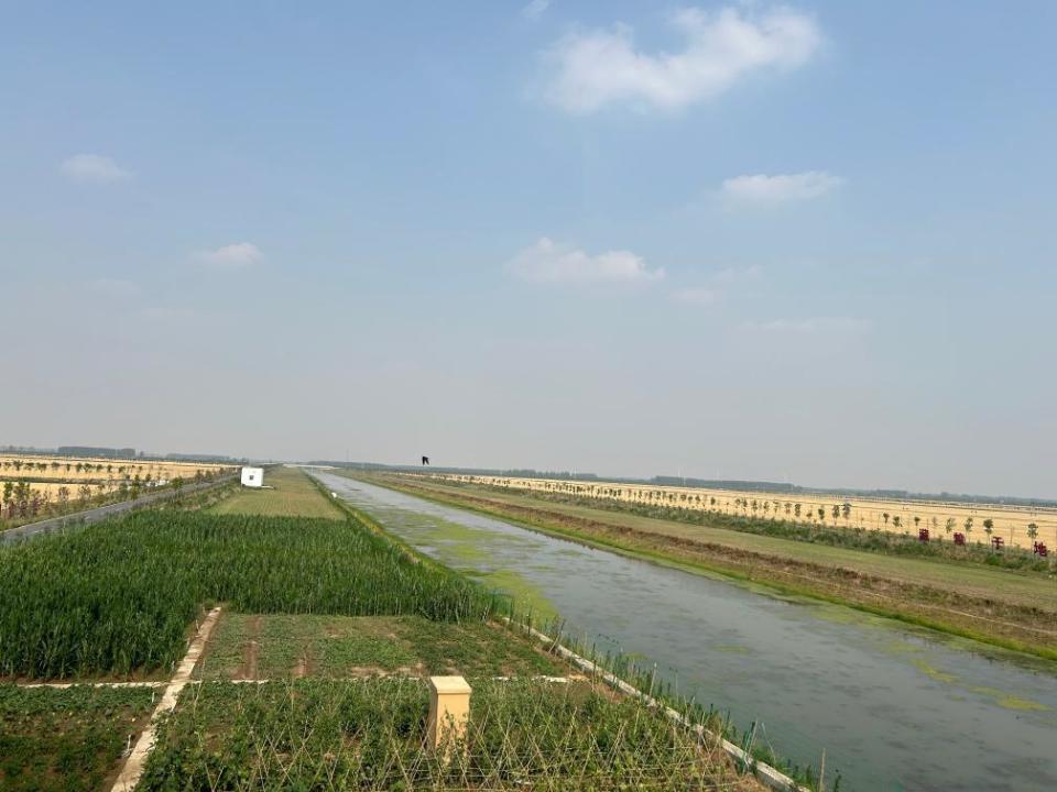 记者在河南,河北,山东等产粮大省一