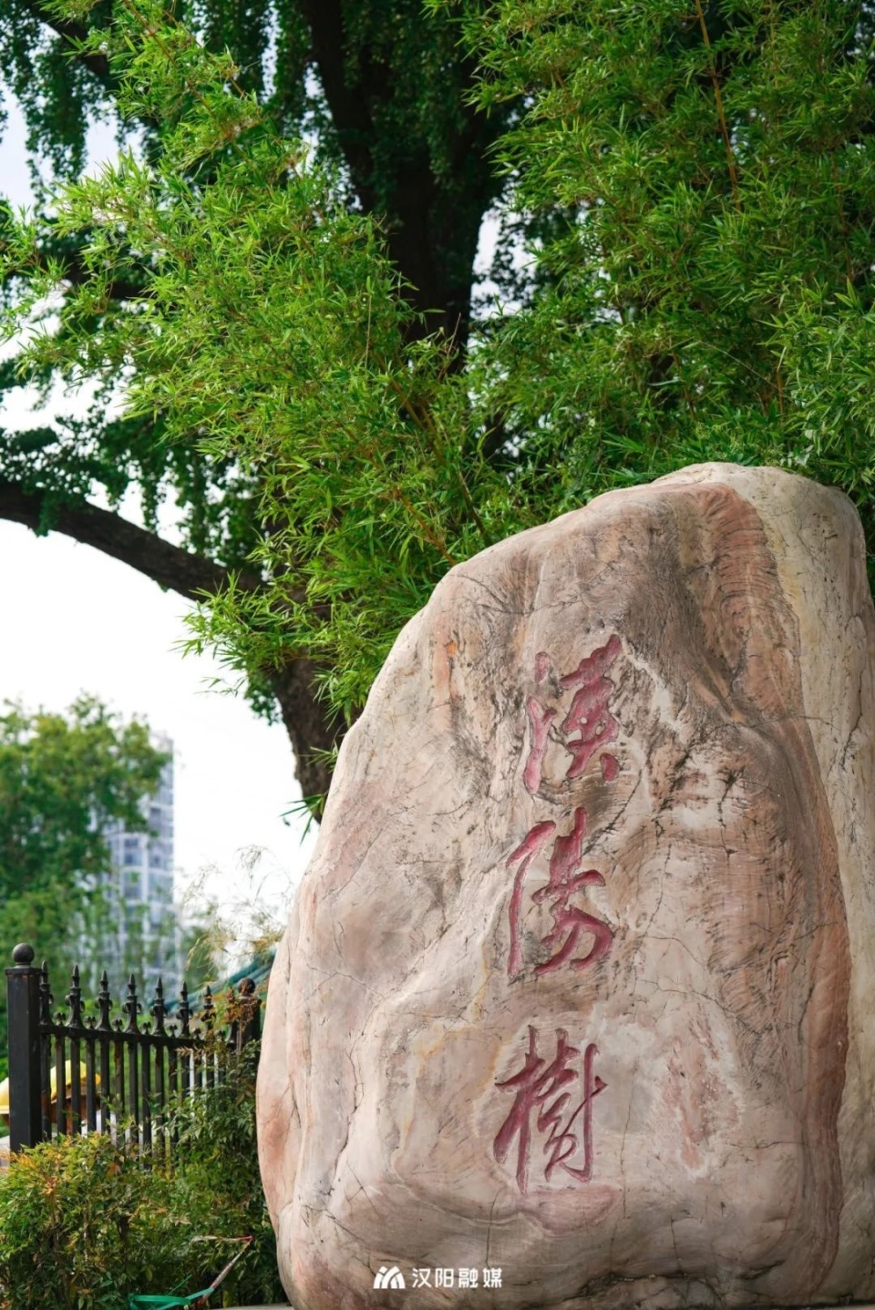 汉阳这个公园入选全省最美